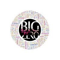 The big zero india logo - Similar company to Super Bytes Info