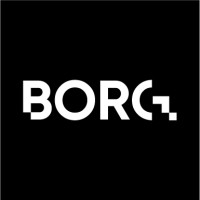 Borg Consulting logo - Similar company to Bas World