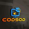 codsod logo - Similar company to Codeblue