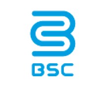 BLANCHISSERIE BSC logo - Similar company to Defalma