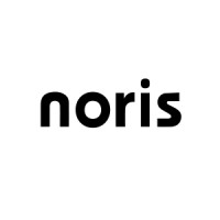 noris MIKE logo - Similar company to Emda