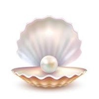 Oyster Pearl Digital Solutions