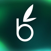 Webamboos logo - Similar company to Deventure