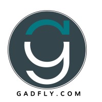 Gadfly Associates, PLLC and Gadfly Ledgers logo - Similar company to Soar Community Network, Llc