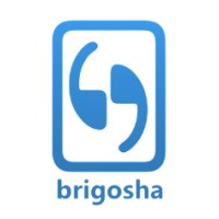 brigosha logo - Similar company to Mavericks