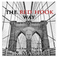 The Red Hook Way: A Brooklyn Odyssey logo - Similar company to Lavada Inc