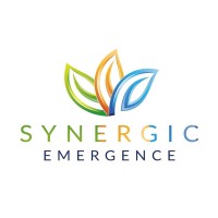 Synergic Emergence logo - Similar company to Luva Technologies Inc