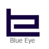 Blue Eye India logo - Similar company to Blue Eye