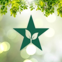 Nature Star logo - Similar company to Naturestar Pte. Ltd.