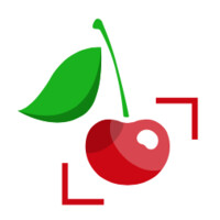BuenaFruta Solutions logo - Similar company to Deltax Robotics