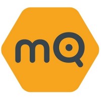 mQ Intelligence logo - Similar company to Your It Department