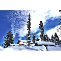 Kashmir Packages logo - Similar company to Indian Travel Store