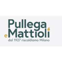 Pullega e Mattioli S.p.A. logo - Similar company to Bonuss.Finance