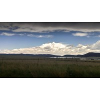 Manzanares Farms