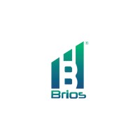 Brios Finvest India Limited logo - Similar company to Easyaccess Financial Services Limited