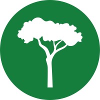 International Tree Foundation logo - Similar company to Trees For Jane