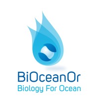 Bioceanor logo - Similar company to Edumapper