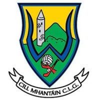 Wicklow GAA County Board logo - Similar company to Clontarf Gaa Club/Clg Chluain Tarbh