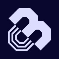 Beep Insights logo - Similar company to Flowtropolis