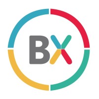 BrainX Consulting logo - Similar company to Scala Global