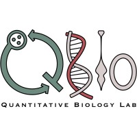 QBio Group logo - Similar company to Wemamy // Lfa Srl Società Benefit