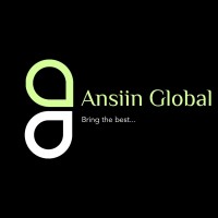 Ansiin Global logo - Similar company to Tech-Soul Technologies