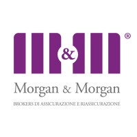 Morgan & Morgan srl International Insurance Brokers logo - Similar company to Le Manzane