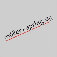 Müller + Spring AG logo - Similar company to Cebrands.Ch Ag