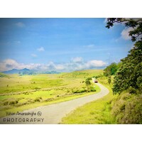 Travel to Sri Lanka logo - Similar company to Gaia Intelligence