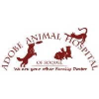 Adobe Animal Hospital Of Soquel