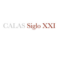 Calas Siglo XXI logo - Similar company to Mdeh Consulting