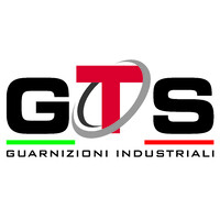 GTS Srl - Guarnizioni Industriali logo - Similar company to Techno Polymers