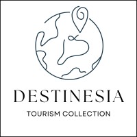 Destinesia • Tourism Collection logo - Similar company to Pacific Storytelling
