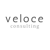 VELOCE Consulting, Inc. logo - Similar company to Cedar Funds