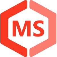 MINDFULSAFETY logo - Similar company to Virtuoush2020