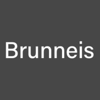 Brunneis logo - Similar company to Empresas Fh Engel