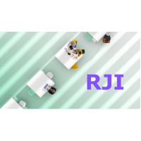 RJI Search logo - Similar company to Igicom Llc