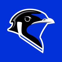 Eesti Hoki logo - Similar company to Evolve Academy Ltd
