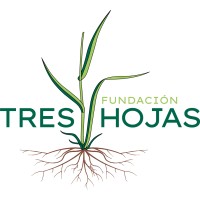 Fundación Tres Hojas logo - Similar company to Hr Analytics
