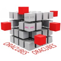 Oracubes Technologies Co. logo - Similar company to Beanbags - Software House &  It Solutions