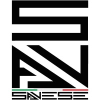Savese Store logo - Similar company to Nextrain