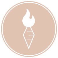 Spicy Carrot logo - Similar company to Vision Informatics