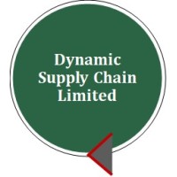 Dynamic Supply Chain Limited logo - Similar company to Silver Dollar Media