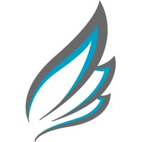 Bluewing Technology logo - Similar company to Dream It Solutions