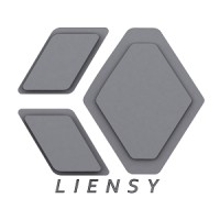 Liensy Robotics logo - Similar company to Baun Robotics Solutions
