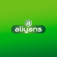 Aliyans Global Inc logo - Similar company to Webpro Services