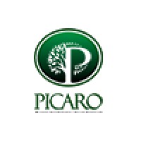PICARO CONSULTING logo - Similar company to Q Solutions Llc