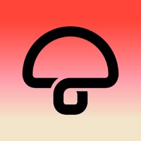 Mushroom Group logo - Similar company to Green Music Australia