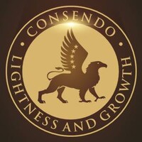 Consendo - Business Consulting Services logo - Similar company to Consendo
