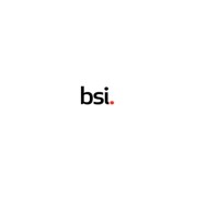 British Standard Institutions logo - Similar company to Cloudbuilder Limited
